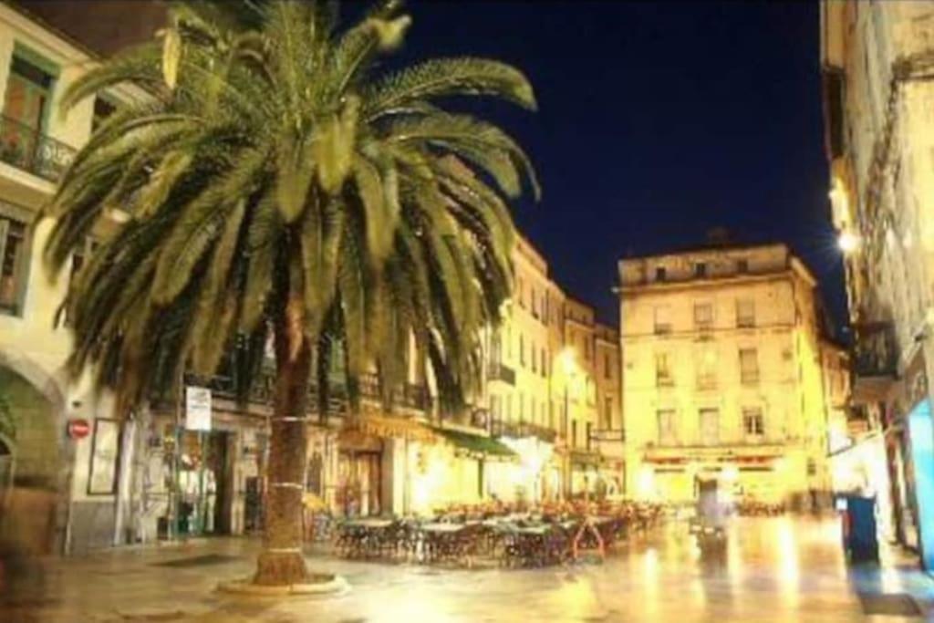 Studio « Le Boheme Chic » Nîmes Eksteriør billede